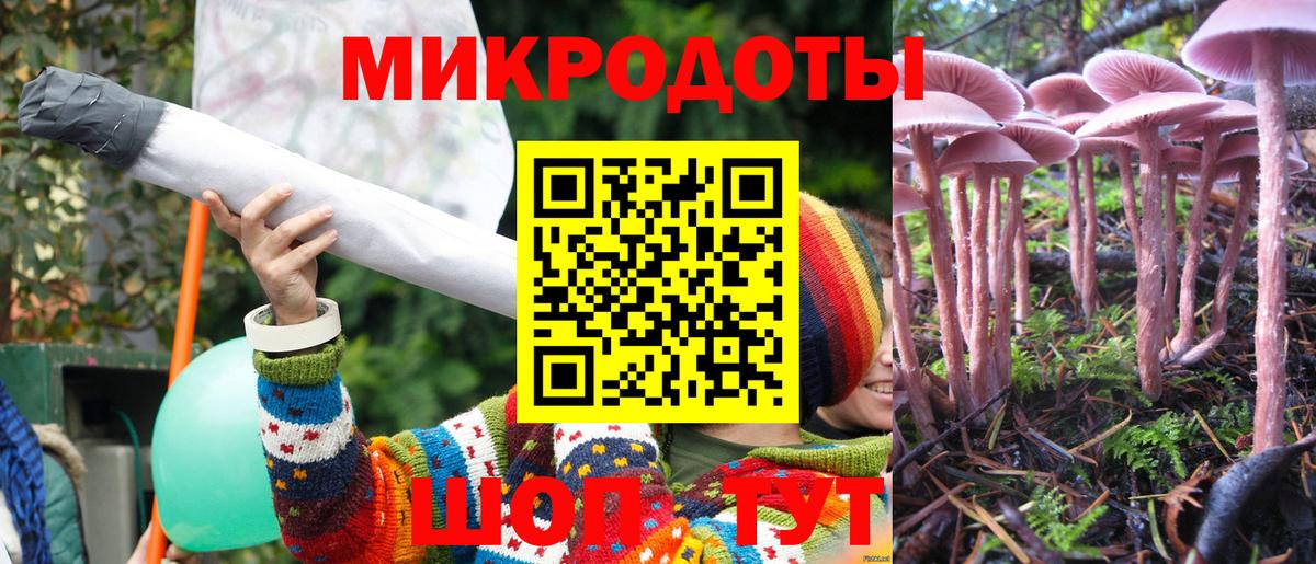 Псилоцибиновые грибы мицелий Краснокаменск