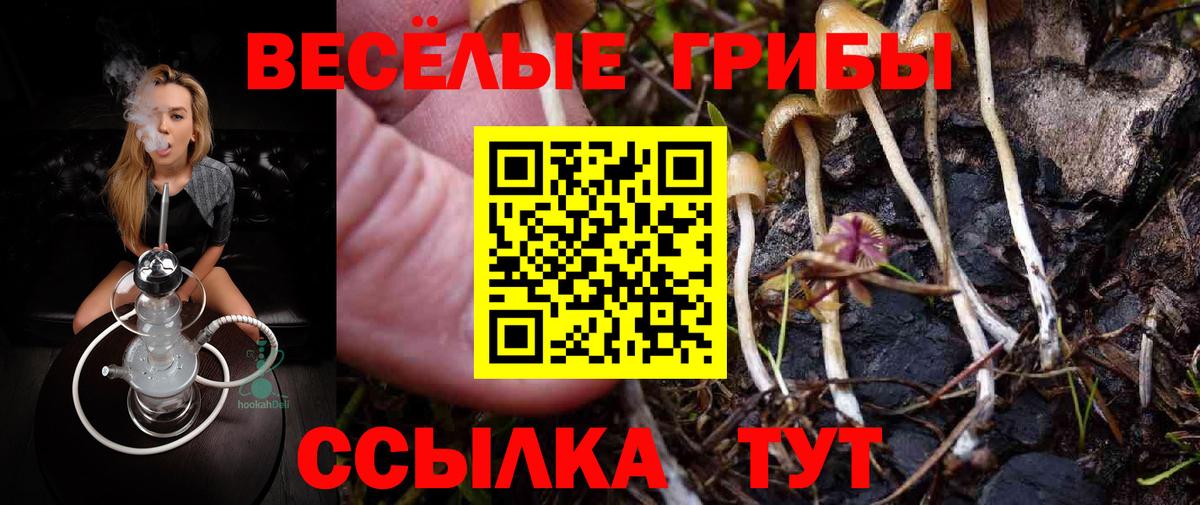 Псилоцибиновые грибы прущие грибы  Вход с VPN  Краснокаменск  Галлюциногенные грибы прущие грибы 